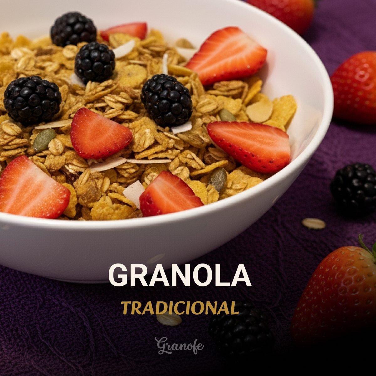 Capa do projeto GRANOFE